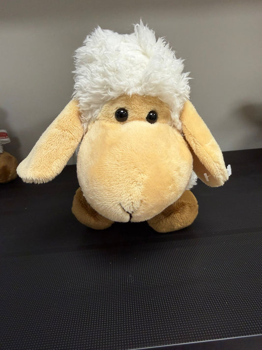 כבשת ארץ ישראל