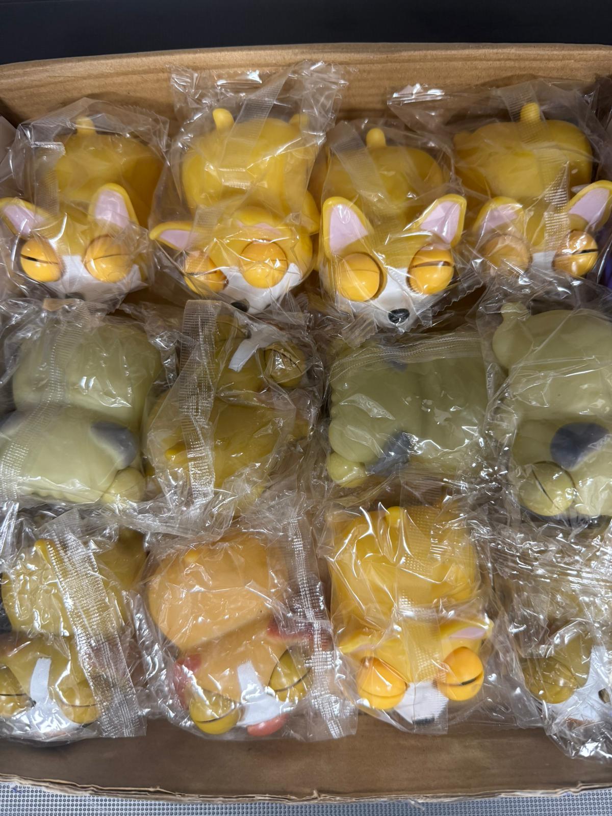 כלב מוציא עיניים