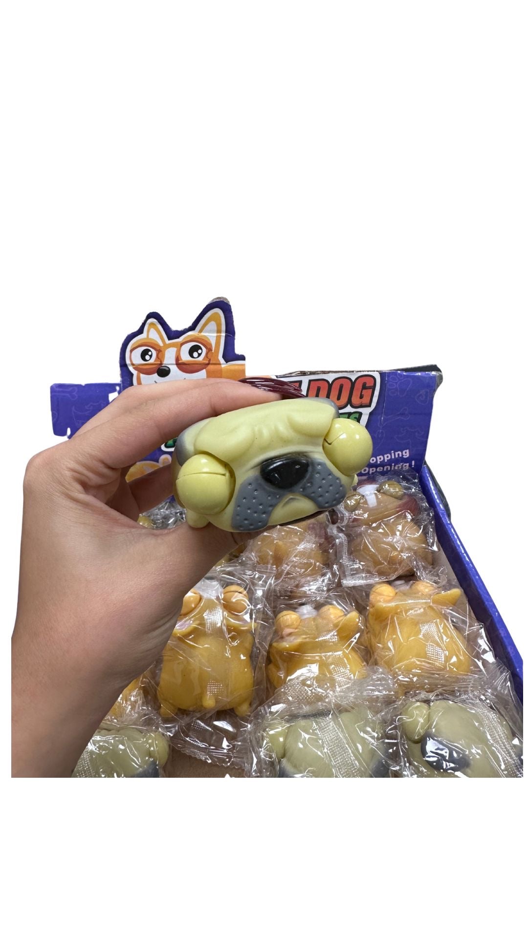 כלב מוציא עיניים