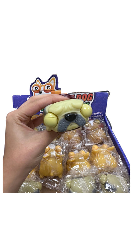 כלב מוציא עיניים