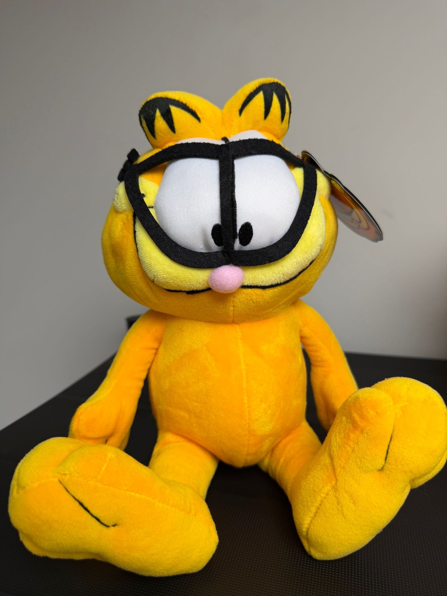 גרפילד משקפיים