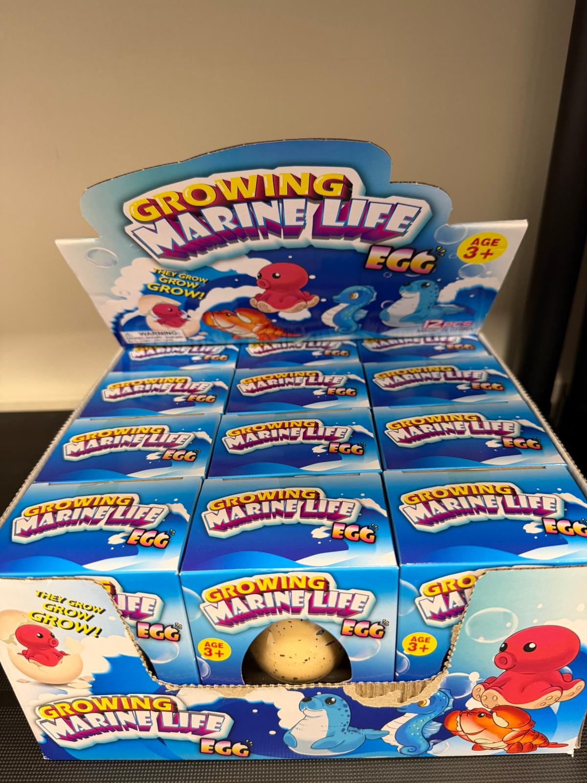 ביצה גדלה במים