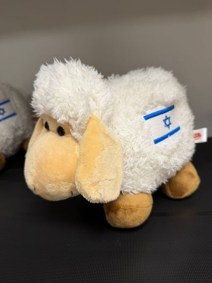 כבשת ארץ ישראל