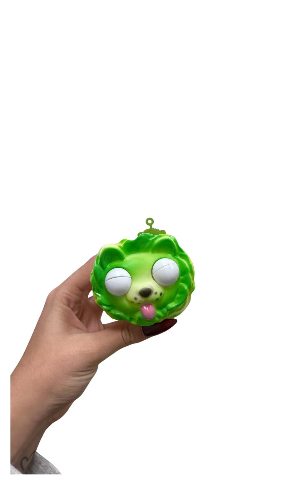 כלב חסה מוציא עיניים